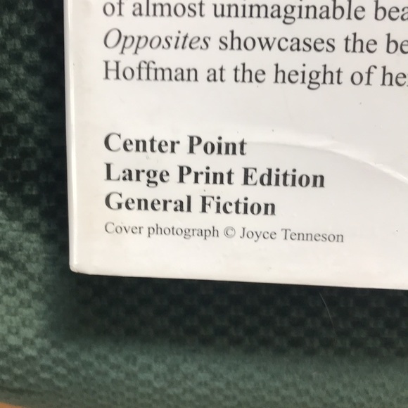 “The marriage of opposites“ A novel by Alice Hoffman - Picture 9 of 16
